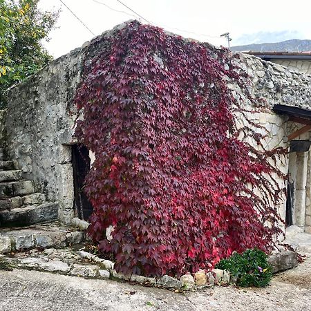 サンテウフェミーア・ア・マイエッラ Casa Mupiヴィラ エクステリア 写真